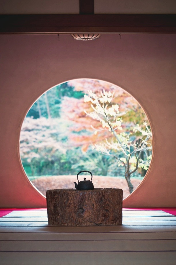 zekkei-beautiful-scenery:  Cherry blossoms in Japan  Sakura is a part of Japanese