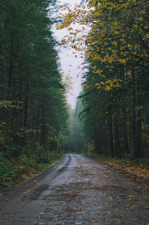 Olympic National Park Prints