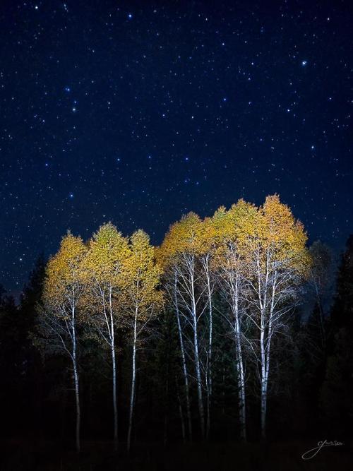 amazinglybeautifulphotography: 10 Seconds of the night and a flashlight [1873 × 2500] [OC], [IG @gav