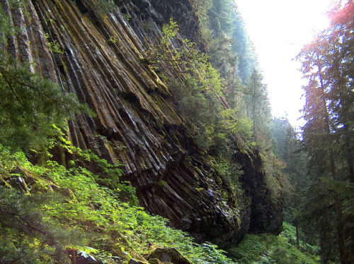 90377: Massive Columnar Basalt by Mark Knoke