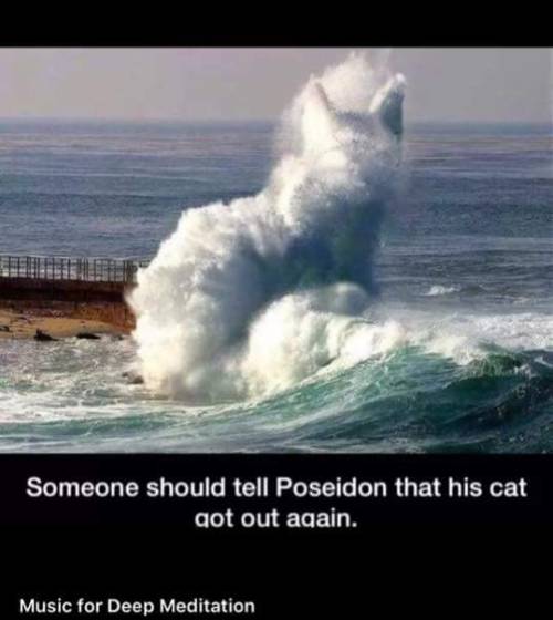 incorrectgreekmyths:  damn it, poseidon, control your cats 