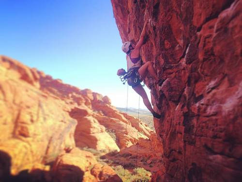 Spent the last week in Red Rocks, NV. This was Day 1 of climbing: Glitter Gulch, 5.11A on Sweet Pain