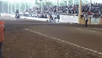 seriouslyfunnygifs:  I didn’t know horses came with brakes   Seriously Funny GIfs