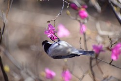 XXX way-out-there:Stopping by Botanical Gardens photo