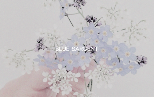 sirusblacks:   blue. my name’s blue sargent. blair? blue. blaize? blue sighed. jane.