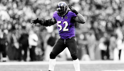 ballsandlipgloss:  Ray Lewis’ goodbye to his Baltimore fans.