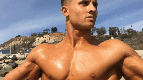 silverskinsrepository: Dominick Nicolai jfpb