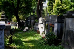 SIGHT OF THE TOMBS