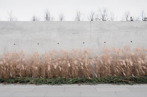 Roman Sakovich [via the absolute PHOTOGRAPHY blog…] 