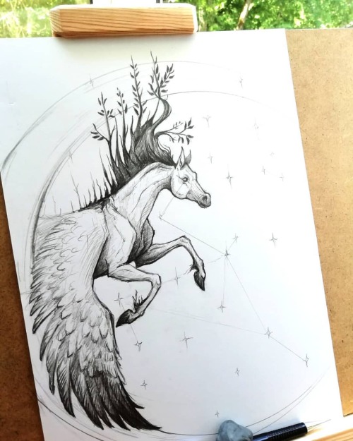 #TatianaLisova #chorse #art #Illustration #sketch #forest #star #graphic #traditionalhttps://www.ins