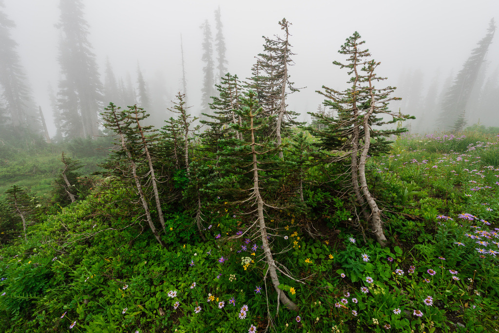 quiet-nymph:  Photography  by kern.justin on Flickr