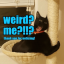 notsadkatt