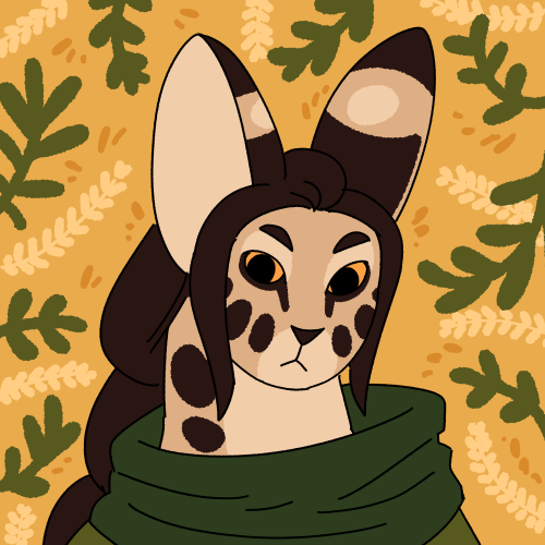 Stimboard for @frostios of their DND character, Sorrel!X x X  x  x  X x X
