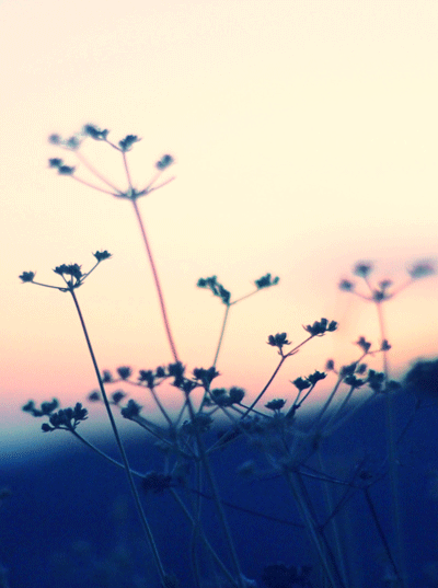 jimmaybones:  hazy eyes instagram