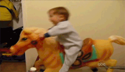 Just Funny Pictures