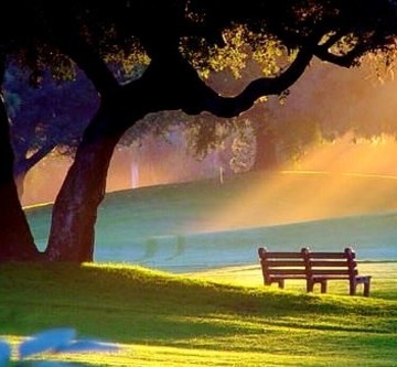 Summer Morning, Alpine Park, Rockford, Illinois