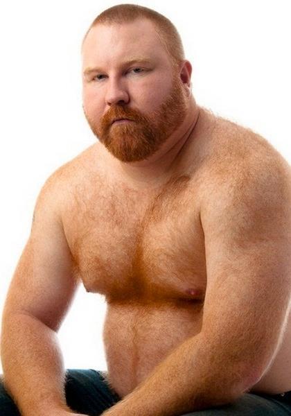 yokohonocubbear:  follow me