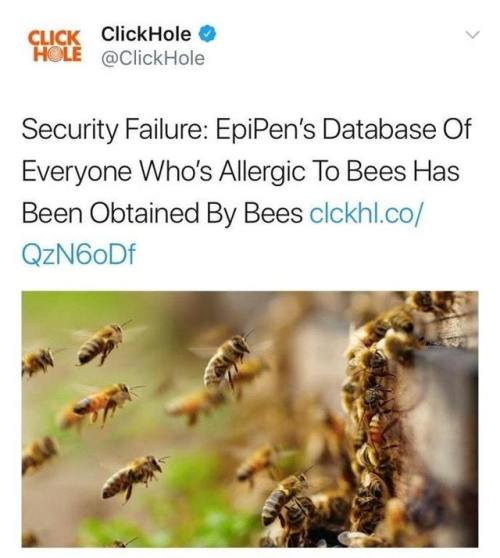 lord-kitschener: wakeupontheprongssideofthebed: average-egg: bees are nice! they probably got this i