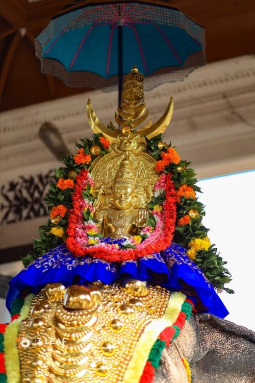 Shiva deity on elephant, Vaikom temple, Kerala