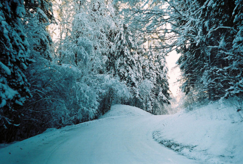 lolitas-heart:  powder blue powder by Liis Klammer on Flickr.