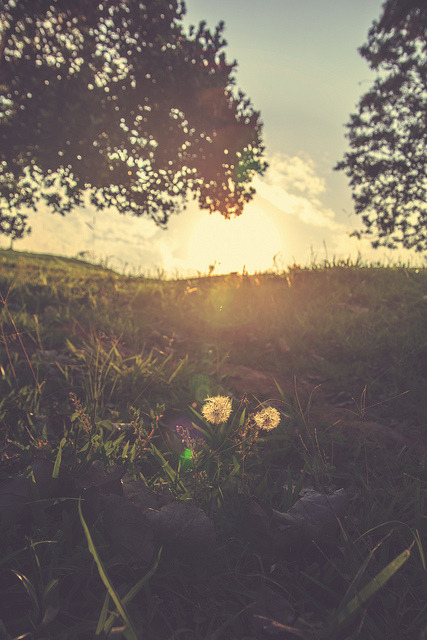 idealizable:  where the sun goes down by JESUS ♥ YOU on Flickr. 