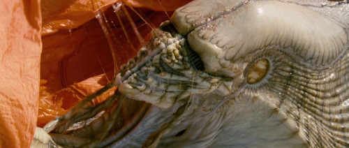 brokehorrorfan:  July 3: Roland Emmerich’s Independence Day invaded theaters 20 years ago today.It made a record-breaking 贈.3 million in its first week and currently ranks as the 51st highest worldwide grossing film.