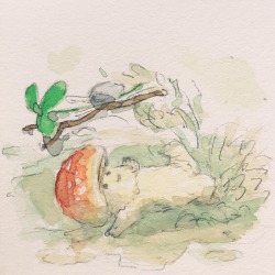 studio-thomas-walsh:A little mushroom finds a puddle