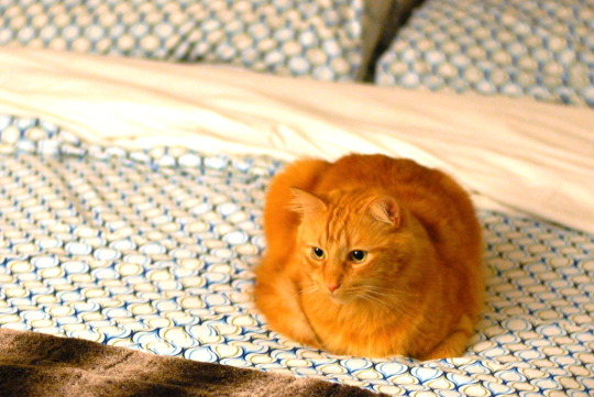 Bedtime