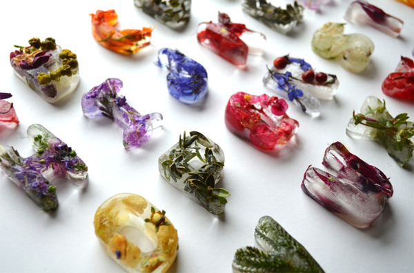 kjevangelista:  Botanical Typography Made with Frozen Flowers in Ice by Petra Blahova