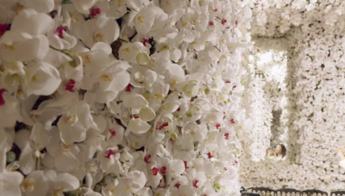 bricksonmyshoulder:  Dior and I (2014)