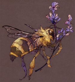 godzillabreath: honeybee and lavender in