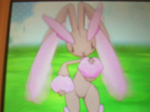 i want you guys to meet Maxxie and Jun !! 2 of my shiny pokemon from my platinum