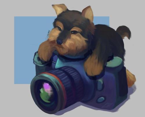 Yorkie and camera (study)At the time, I don’t know how the idea came to me but it did! (In rea