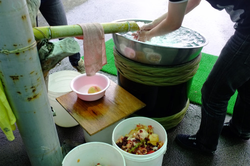 Peach Picking in Yamanashi