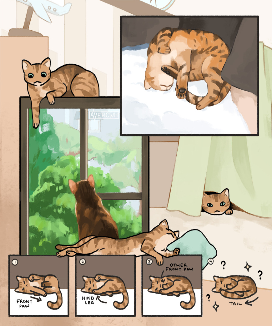 avercwh:  i love all her weird poses