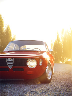 itsbrucemclaren: ////  Alfa Romeo Giulia