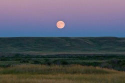 nmrm:  Grasslands National Park, Saskatchewan, Canada. 