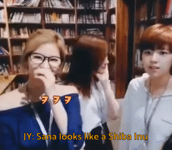 abitofeverythingstrange:actual puppy dog Sana