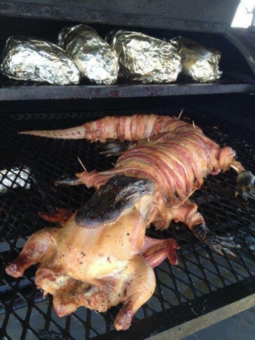 56blogsstillcrazy:is that a gator eating a chicken?