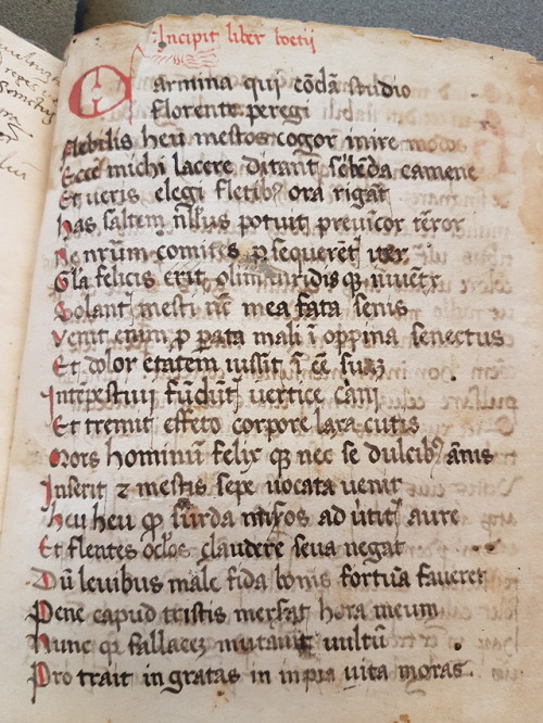 LJS 385 - [School miscellany] Are you getting ready for the Summer Term?This is a collection of clas