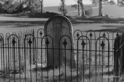 gardenofthesilent: Riverton Cemetery, South Australia.