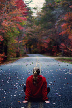 sundxwn:  Autumn Road by Donna Irene 