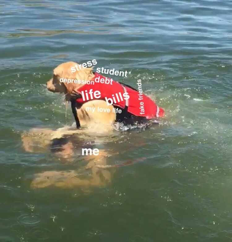 He's still a good doggo