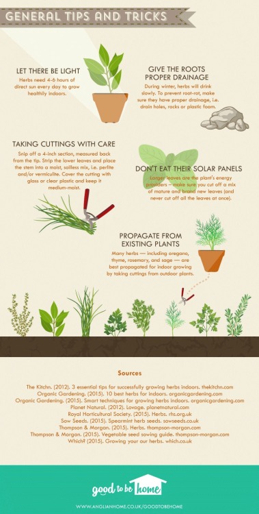 artamanen:Herb Grower’s Cheat Sheet - which ones can be grown inside, when to plant, when to h