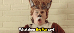 the-absolute-funniest-posts:  finalzidane-x: This needed a Gifset urgently. WHAT DOES THE FOX SAY? (x