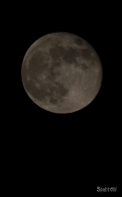 thehedgewitchemporium:  September 9 and 10th lunar phases. I’m going to start photographing th