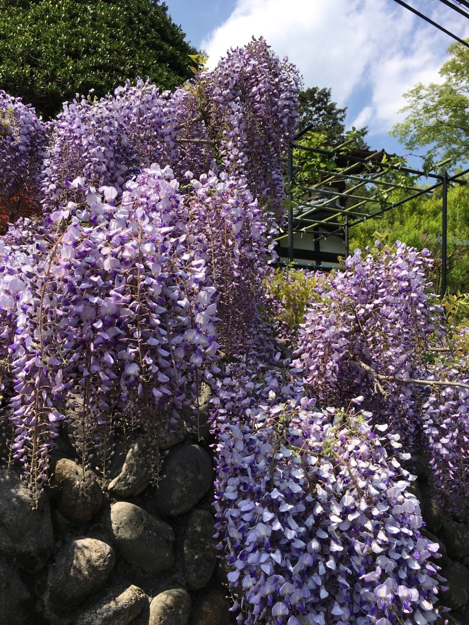 鎌北湖 Explore Tumblr Posts And Blogs Tumgir 鎌北湖 Explore Tumblr Posts And Blogs Tumgir