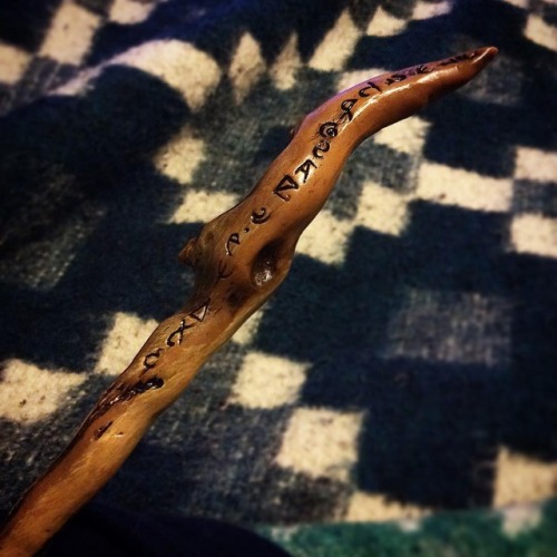 Hey… I found my wand - ) #harrypotter #fantasticbeasts...