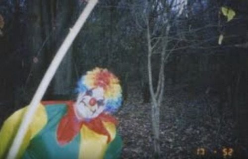 alexthetuna: changelingsrule: sixpenceee: A compilation of some creepy trail cam posts (Source). Tha