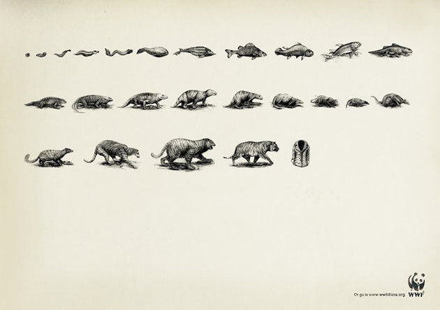 jedavu:  POWERFUL ANIMAL AD CAMPAIGNS